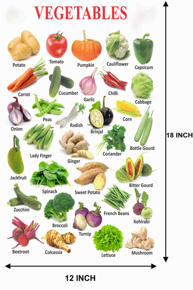 Vegetable Name Chart