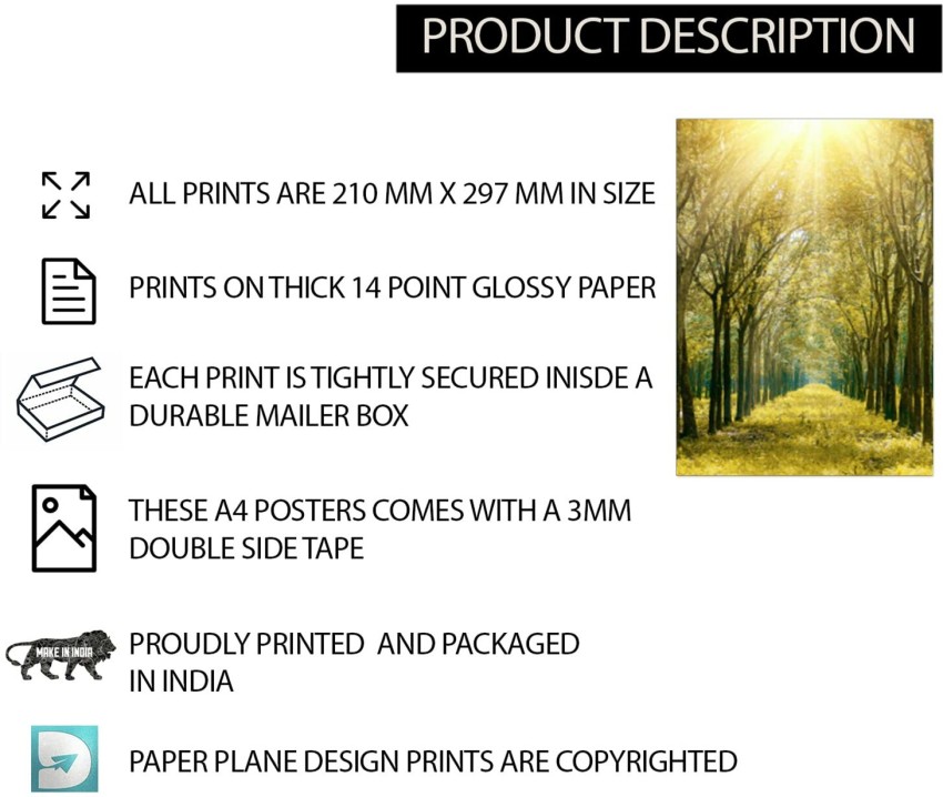 poster size paper