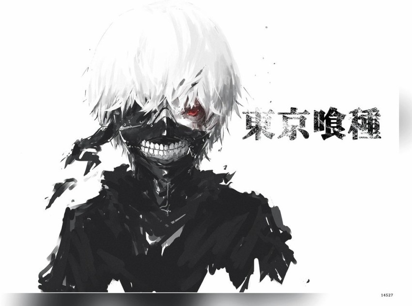 Tokyo Ghoul, black, ghoul, kaneki, tokio ghoul, white, HD phone wallpaper