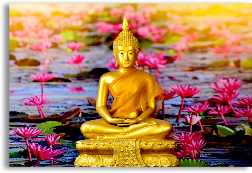 Buddha lotus shop