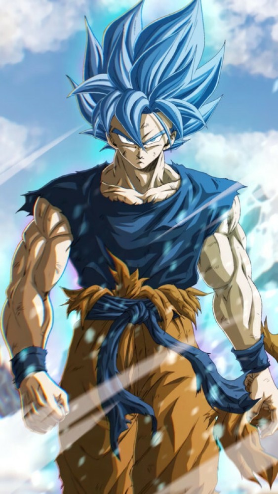 Dragon Ball Super Poster Vegeta Blue and Goku Blue with Broly 18inches  x12inches