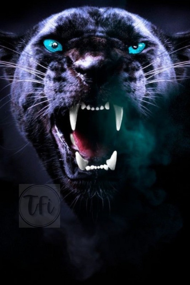 Page 64 | Animal Black Panther Wallpaper Images - Free Download on Freepik