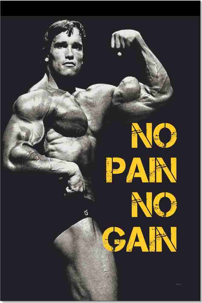 ARNOLD SCHWARZENEGGER BODYBUILDING Conquer Foto Poster Palestra Size A4 A2 A1 A0 EUR 5,11 - IT - Foto 8