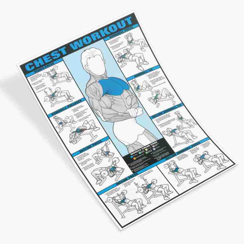 Chest Workout Exercise Gym Poster