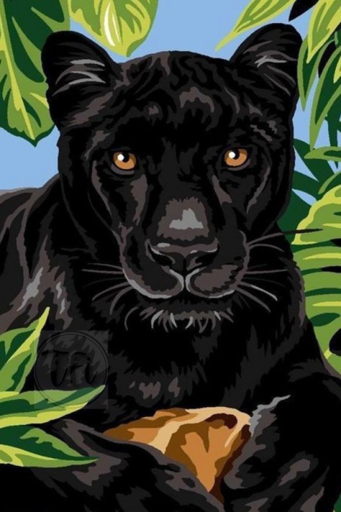 Wild Animal Black Panther Poster, Panther Posters for Room, Unframed