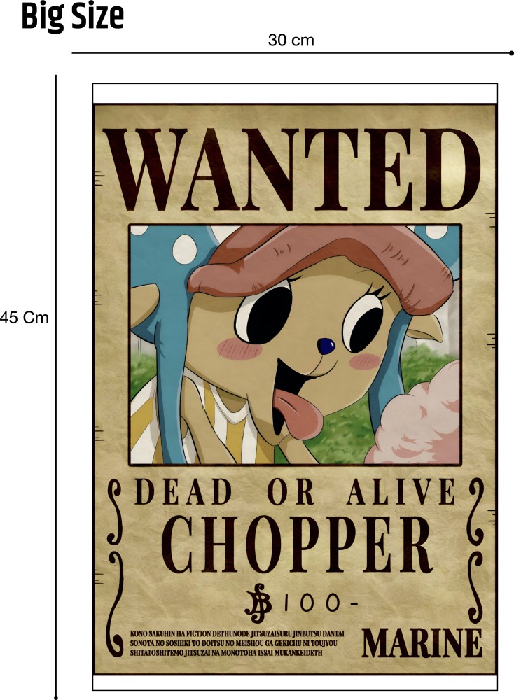 The Big Question : How tall is Chopper in One Piece?