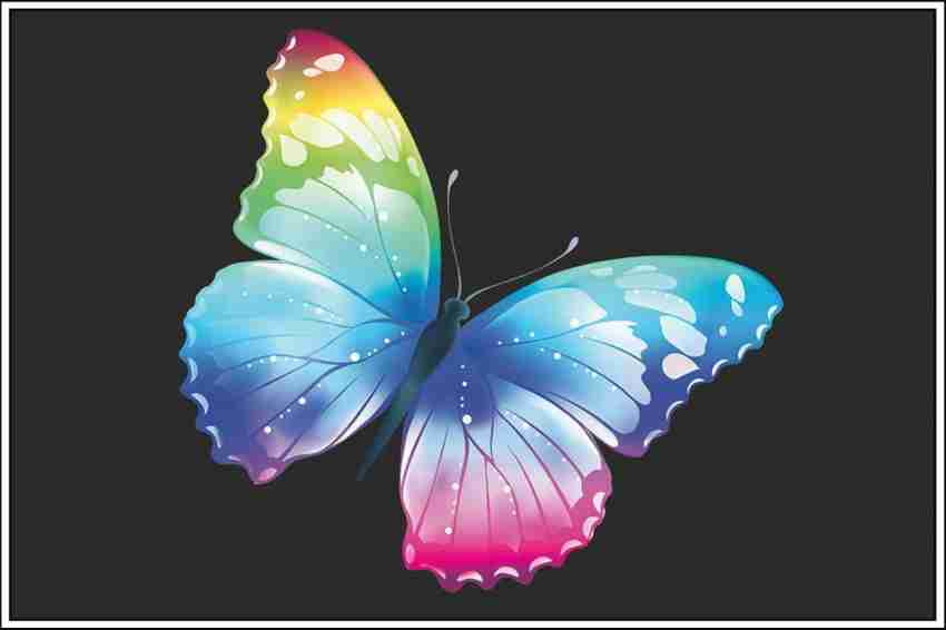 Poster Colourful Butterfly With Black Background Wall Poster sl