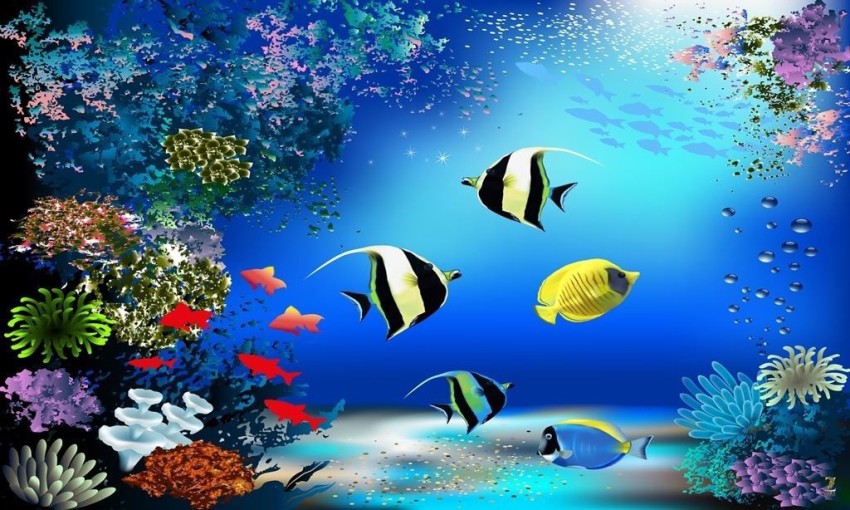 Decor your wall with Fish Aquarium Wallpaper in Kids Room Paper Print -  Nature posters in India - Buy art, film, design, movie, music, nature and  educational paintings/wallpapers at
