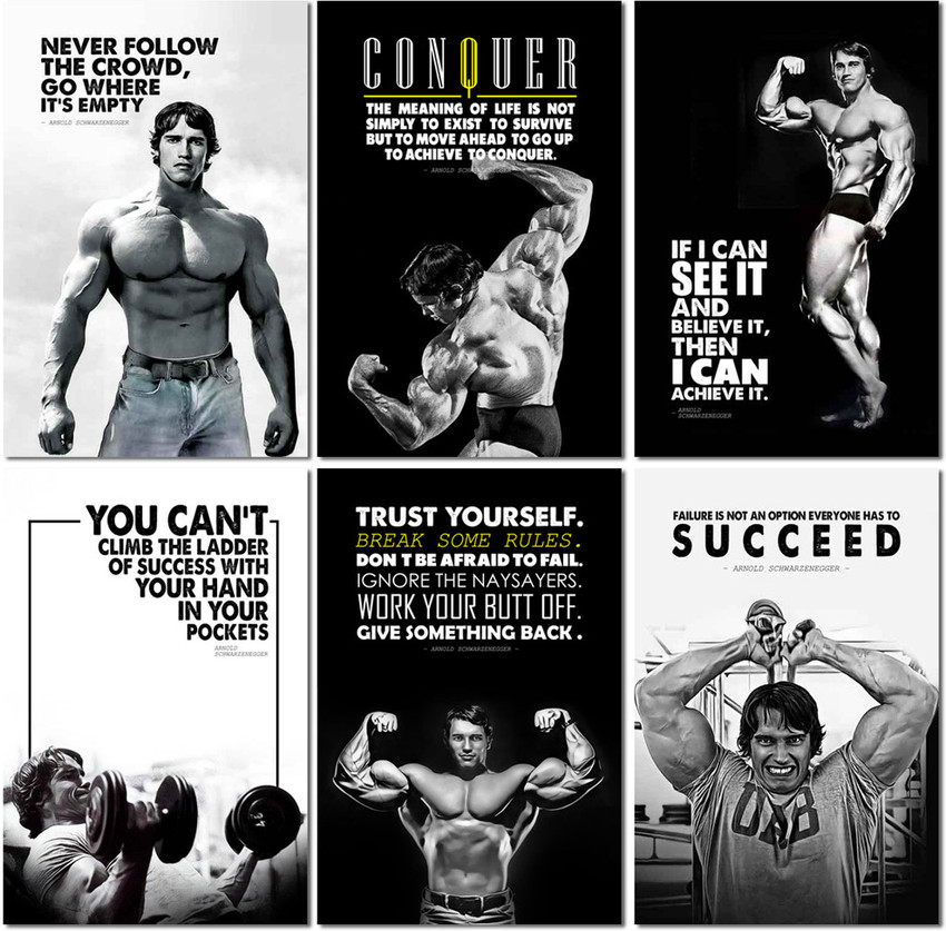 Arnold Schwarzenegger Bodybuilding Quotes Conquer