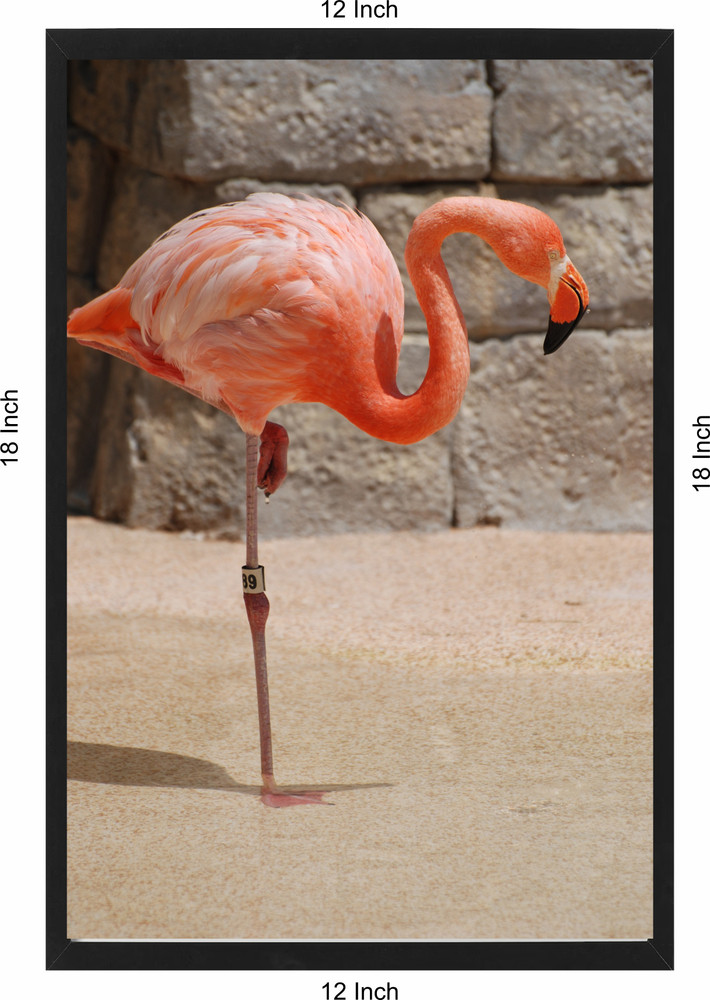 Flamingo 89 hot sale