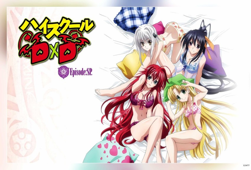 Highschool DxD NEW  Absolute Anime