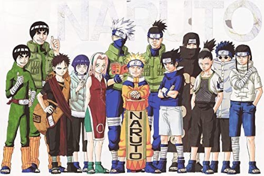 Naruto Shippuden Anime Hinata Team Poster