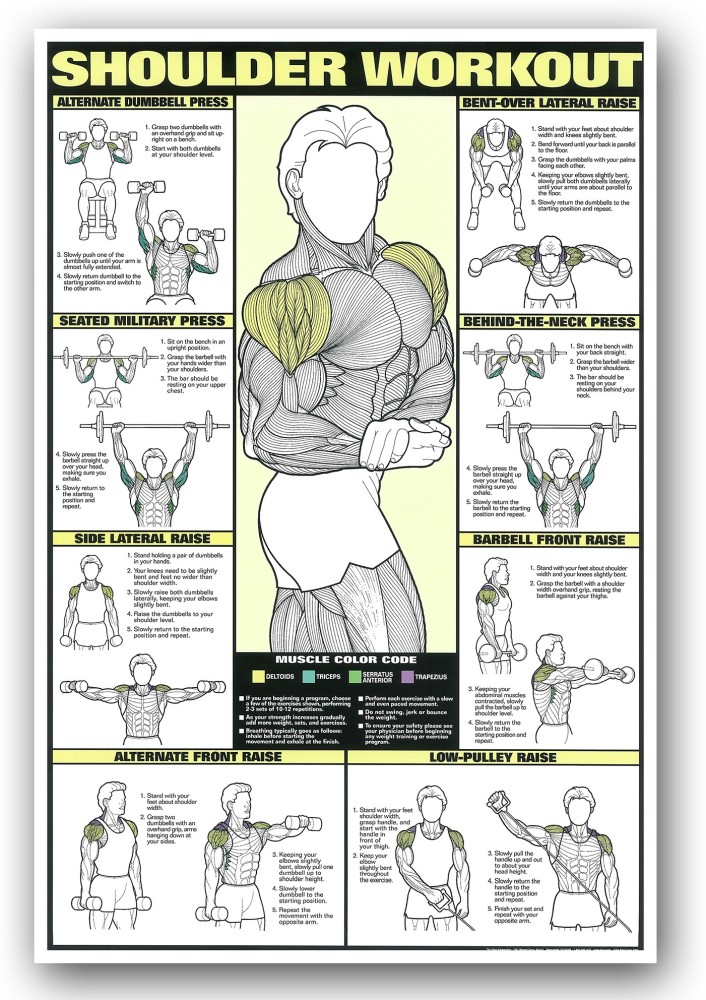 24 x 36 Chest Workout Fitness Chart