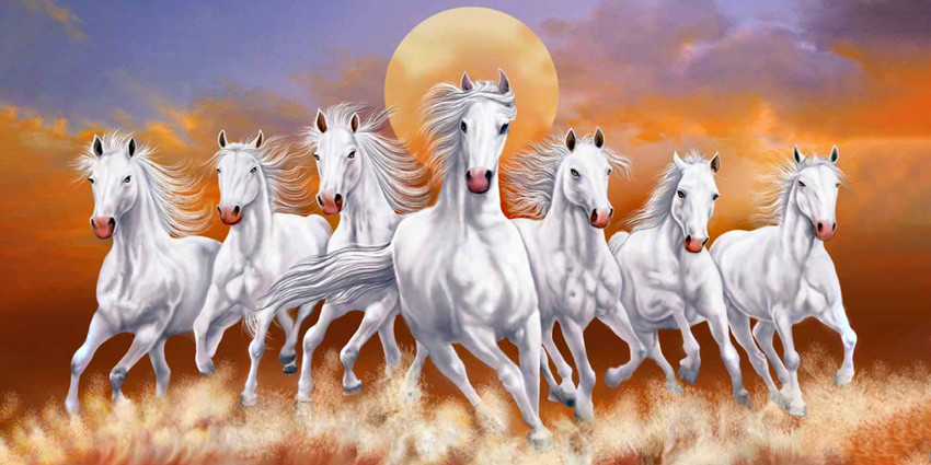lucky seven horses running at sunrise ll 7 horse vastu poster in