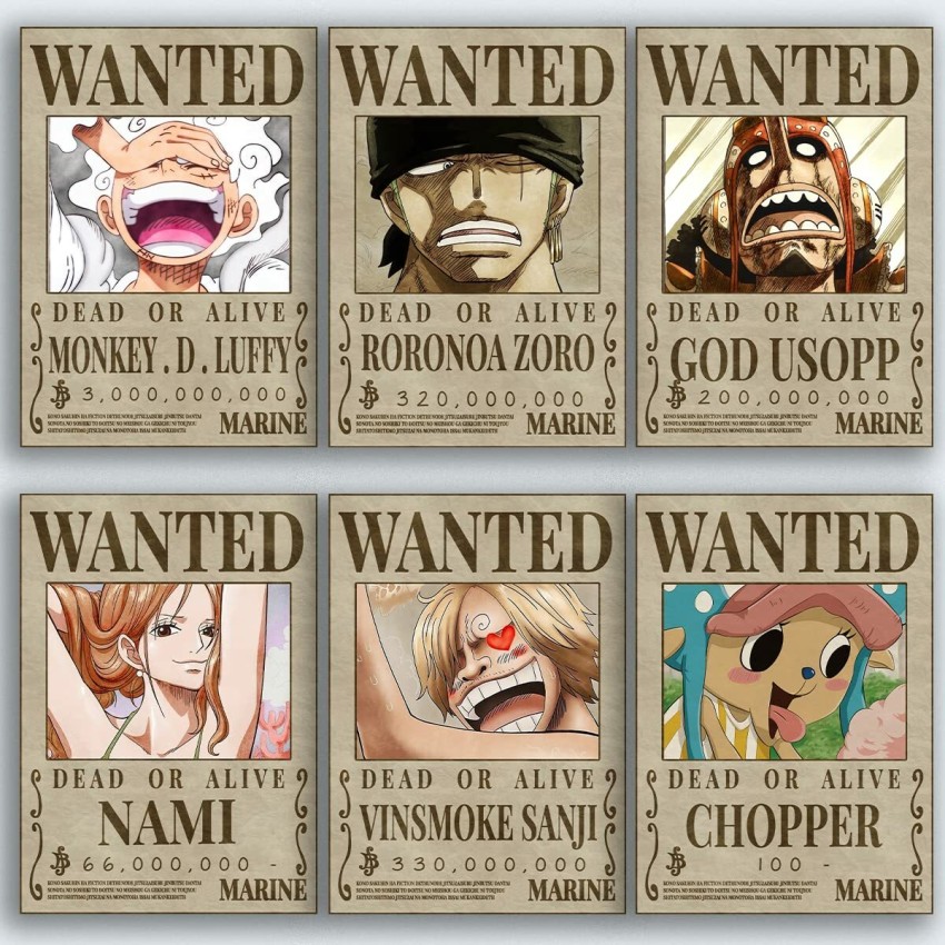 One Piece Wanted Poster Luffy