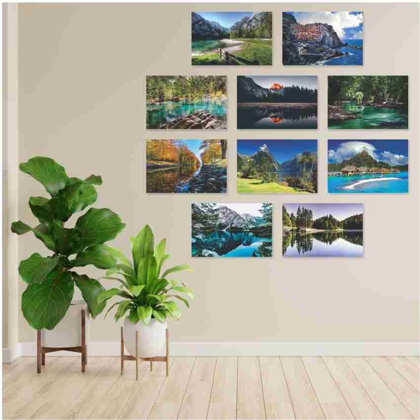 Vinyl Fish Poster scenery wallpaper poster 24x36 inch 3D Poster