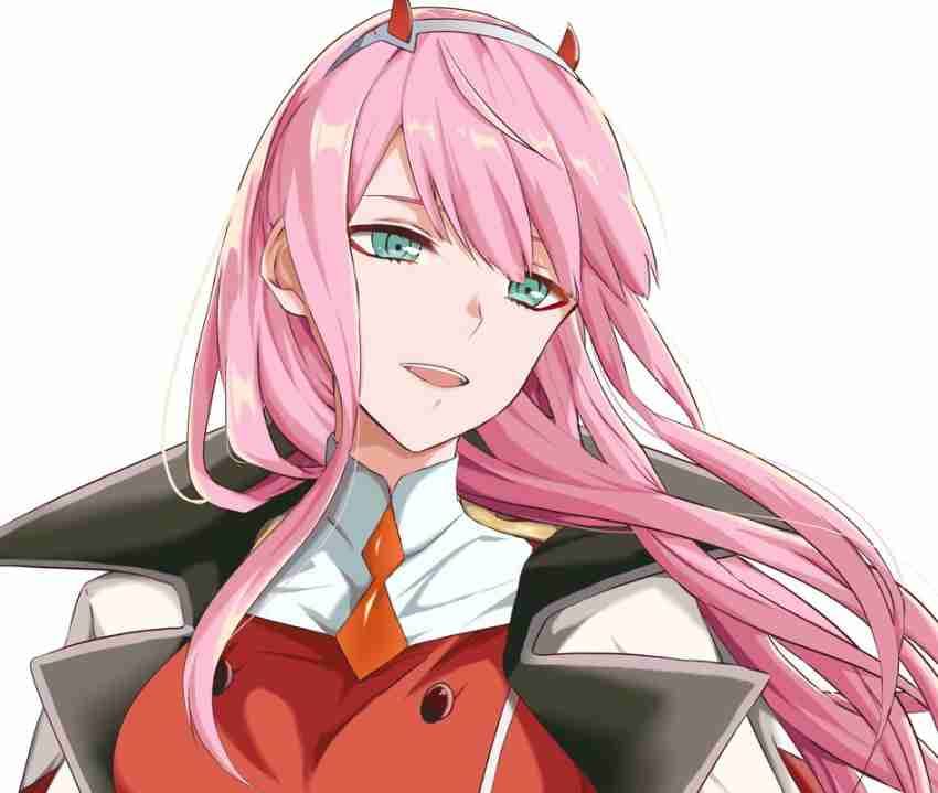 Zero Two Past 002 Anime Darling In The Franxx Zero Two Matte Finish Poster  Paper Print - Animation & Cartoons posters in India - Buy art, film,  design, movie, music, nature and