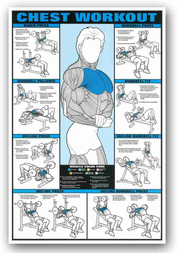 Motivational Inspirational Chest Workout Exercise Gym Poster - 24 x 36 Inch  Fine Art Print - Sports, Educational posters in India - Buy art, film,  design, movie, music, nature and educational paintings/wallpapers at