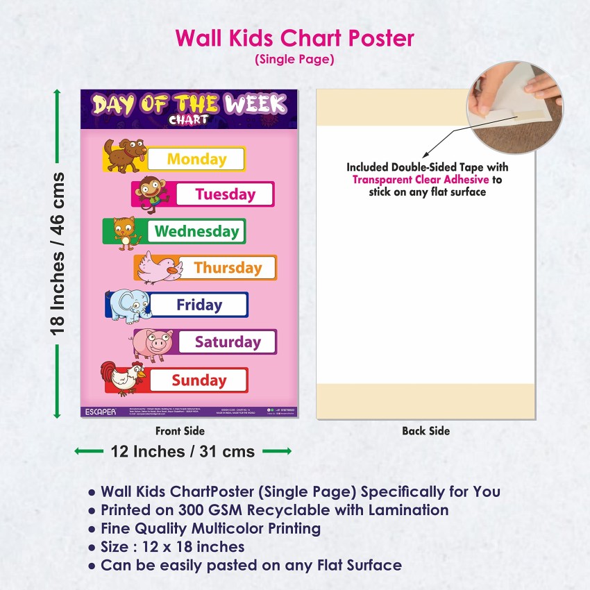 Dog Breed Chart for Kids learning (11.5 x 17.5 inches
