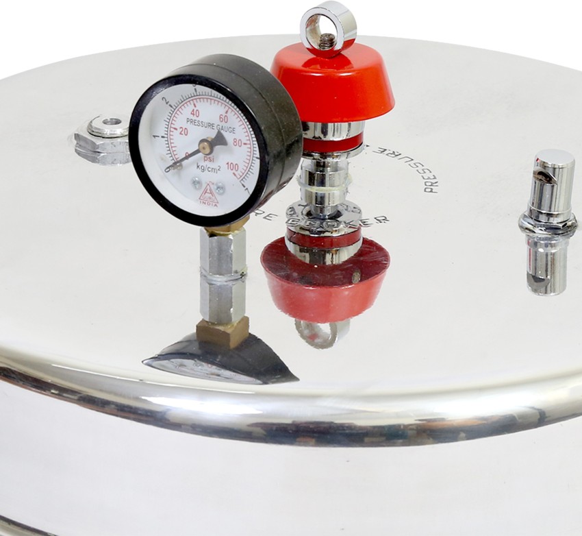 Pressure cooker 2024 with psi gauge