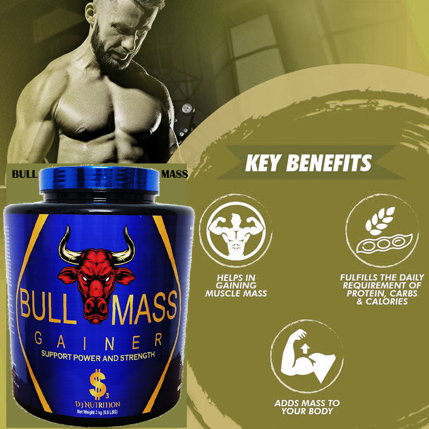 Labrador mass gainer price top