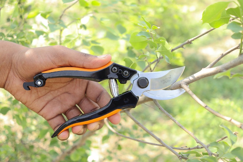 Falcon deals branch cutter