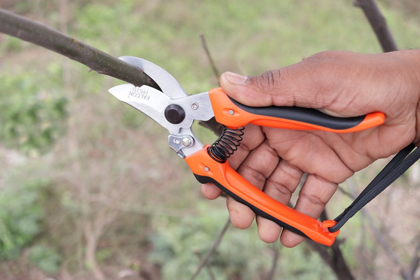 Japanese Samurai Bypass Pruner