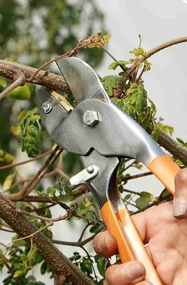 Exotic Arcade Plant Cutter Garden Scissors PrunerCutter