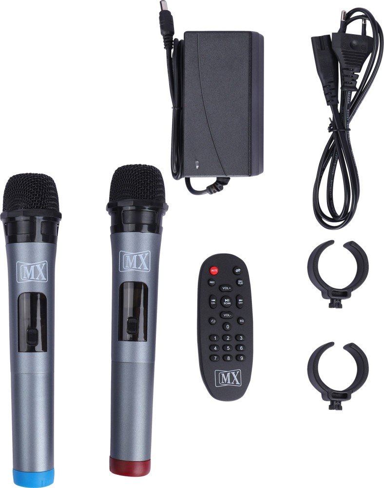 167 Karaoke Machine with 2 Wireless Microphones, Portable PA