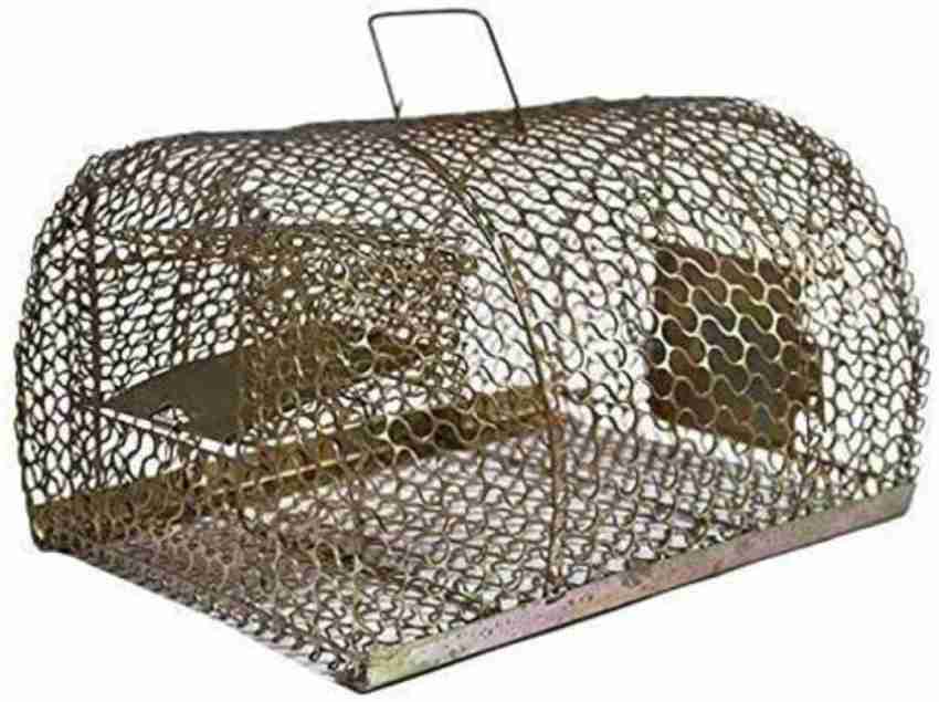 REGAL Rat trap cage Live Trap Price in India - Buy REGAL Rat trap cage Live  Trap online at