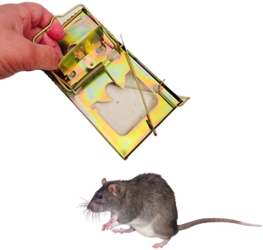 Ammaieesan Metal Rat Traps That Kill Instantly - Very Powerful Rat, Mouse  Pack of 2 Live Trap Price in India - Buy Ammaieesan Metal Rat Traps That  Kill Instantly - Very Powerful