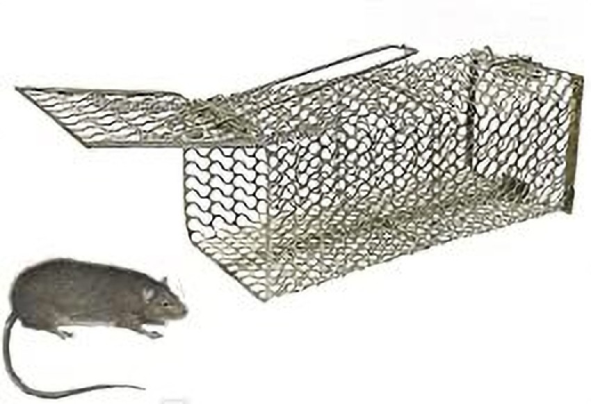 Up To 72% Off on Small Rodent Animal Rat Trap