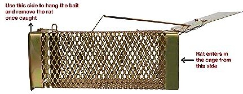 https://rukminim2.flixcart.com/image/850/1000/xif0q/rat-trap/a/e/m/mouse-trap-cage-rat-trap-cage-rat-houses-mouse-catcher-big-iron-original-imagrpwhqfkqxrcb.jpeg?q=90