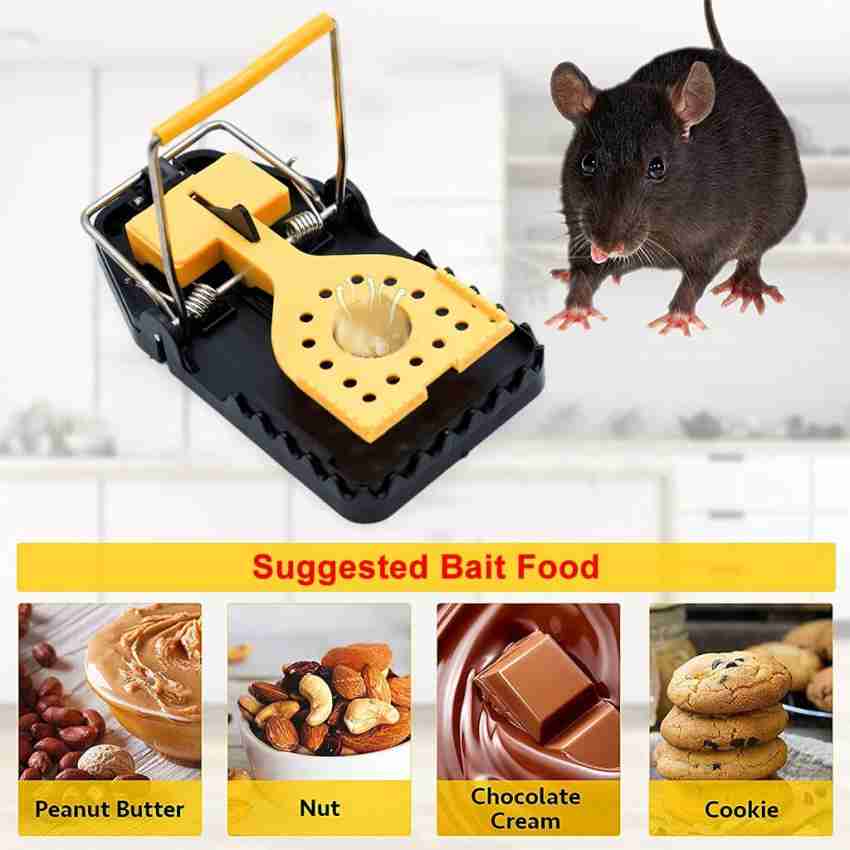 https://rukminim2.flixcart.com/image/850/1000/xif0q/rat-trap/b/e/v/pack-mouse-trap-large-size-mouse-traps-quickly-slam-mice-trap-original-imagrhrvftsyycud.jpeg?q=20