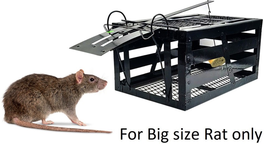 2pc large mouse traps