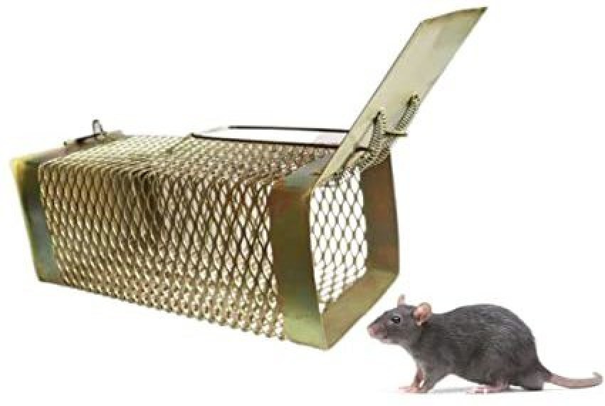 Live trap / Box trap Deluxe for rats, maggots, weasels & Co.