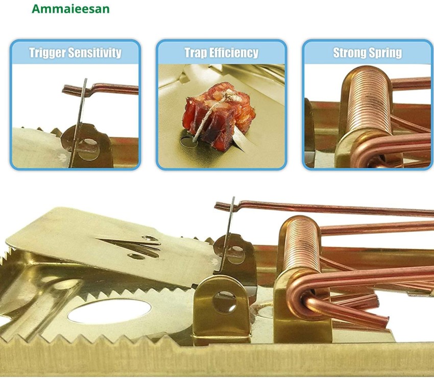 https://rukminim2.flixcart.com/image/850/1000/xif0q/rat-trap/m/k/x/classic-metal-rat-trap-brass-coated-ammaieesan-5-original-imagh4ccfrwpjfhy.jpeg?q=90