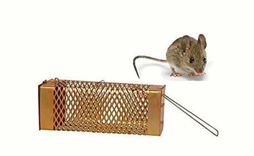 PANTHERZ Rat Trap, Mouse Trap, Pinjra, Wooden Live Trap Price in India -  Buy PANTHERZ Rat Trap, Mouse Trap, Pinjra
