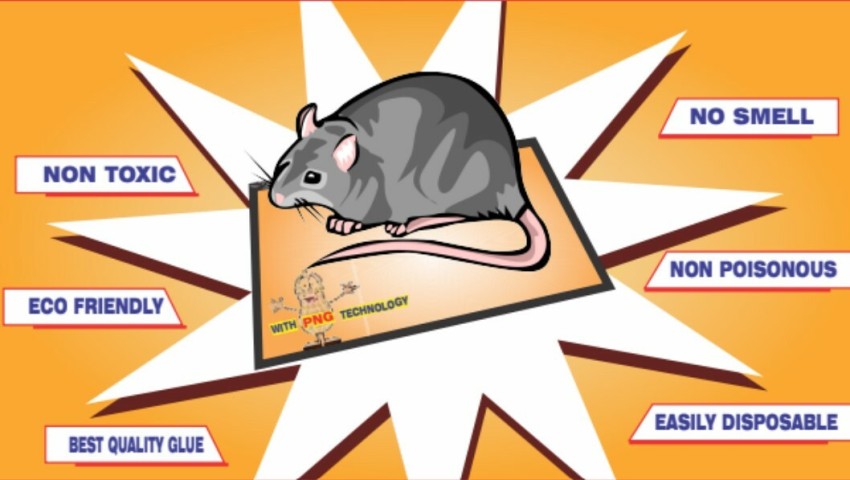 https://rukminim2.flixcart.com/image/850/1000/xif0q/rat-trap/r/5/s/speed-catchy-mouse-glue-trap-pad-non-toxic-no-smell-eco-small-original-imagmfxfmgk76jpd.jpeg?q=90