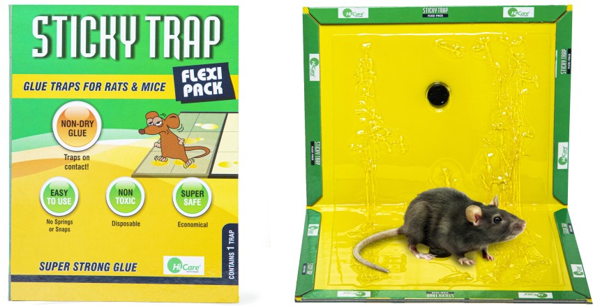 https://rukminim2.flixcart.com/image/850/1000/xif0q/rat-trap/r/f/l/mouse-glue-trap-flavored-with-peanut-butter-smell-jumbo-pack-of-original-imagh3yspb93jwzx.jpeg?q=90