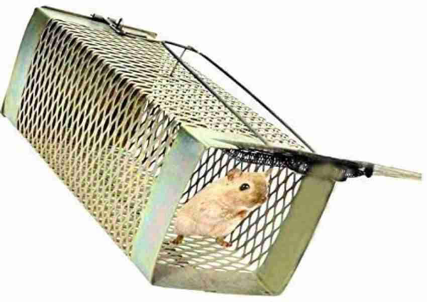 https://rukminim2.flixcart.com/image/850/1000/xif0q/rat-trap/s/b/y/iron-rat-trap-cage-iron-rat-catcher-bars-design-heavy-quality-original-imagvq5y2hmvwxfk.jpeg?q=20