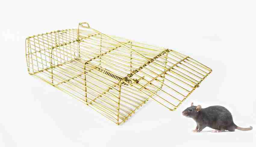 MGNESTRA big rat,rodent,mouse traps iron cage with rust registrant