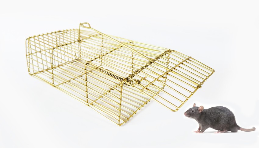 METAL RAT TRAP CAGE, GREEN, 111113282 - Uaeclean