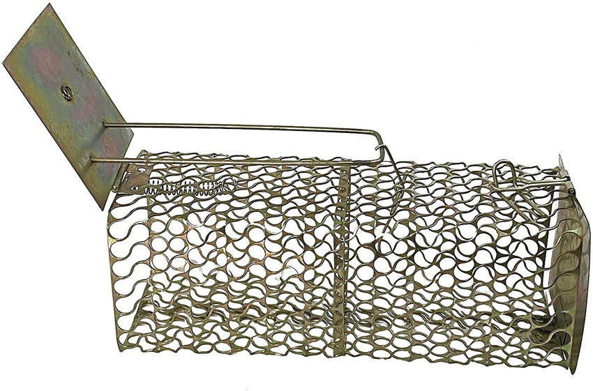 Mouse trap online on sale