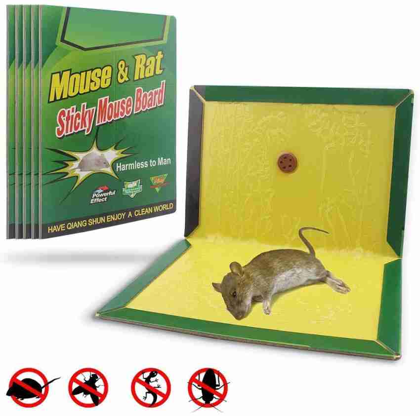 https://rukminim2.flixcart.com/image/850/1000/xif0q/rat-trap/w/c/d/sticky-glue-pad-for-mouse-trap-insect-rodent-lizard-rat-traps-original-imagj6fpjjhqa8fh.jpeg?q=20