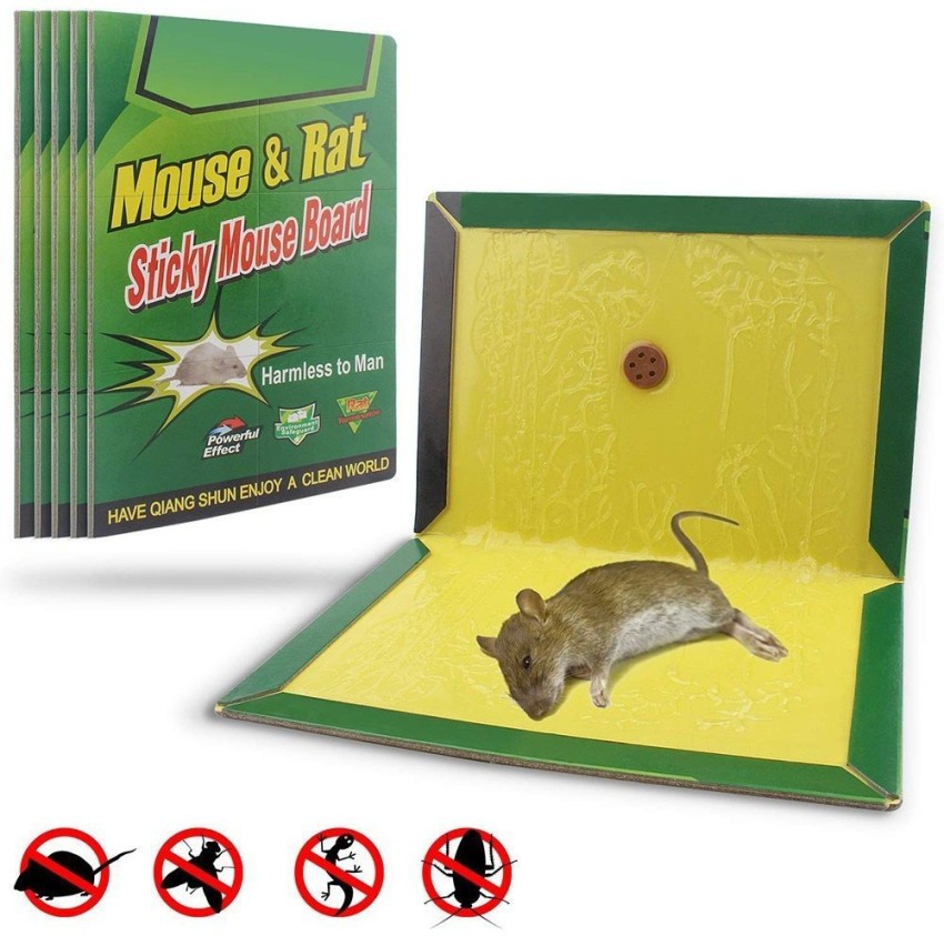 offroad Glue Pad for Mouse Trap Insect Rodent Lizard Rat Traps