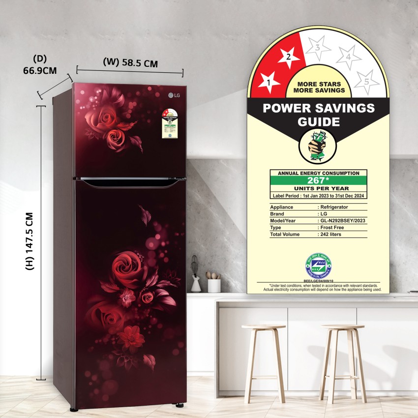 LG 242 L Frost Free Double Door 2 Star Refrigerator Online at Best 