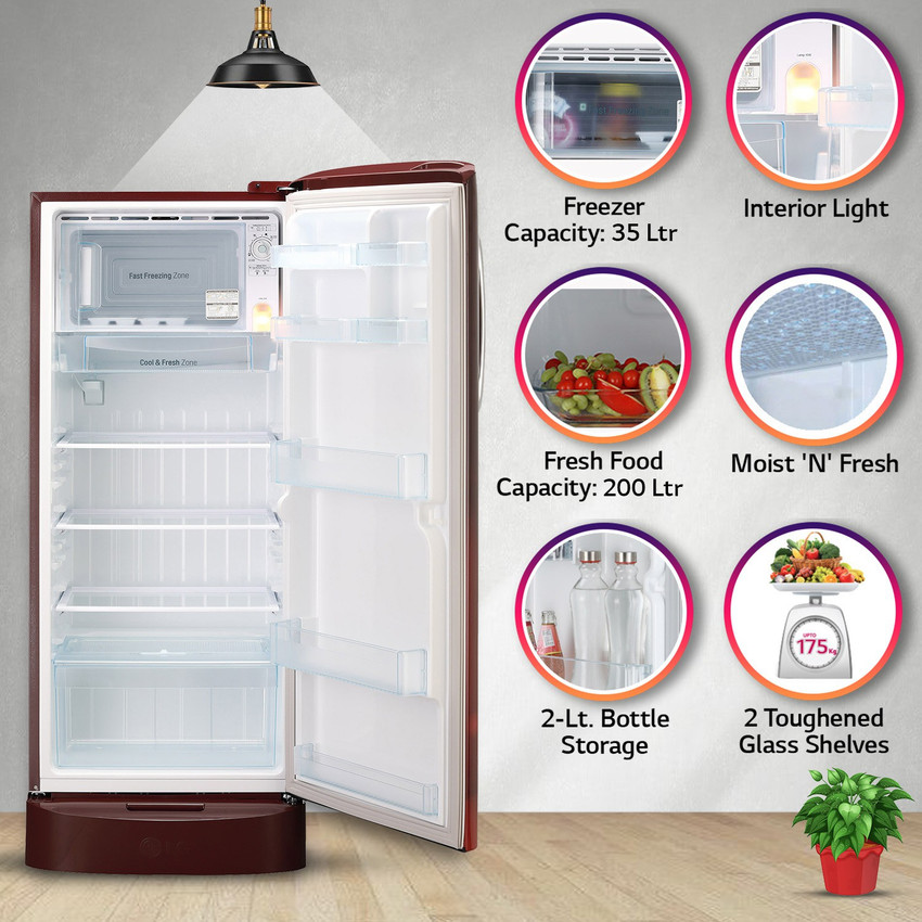 Lg medium top size fridge price