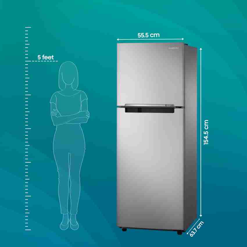 SAMSUNG 236 L Frost Free Double Door 2 Star Refrigerator with
