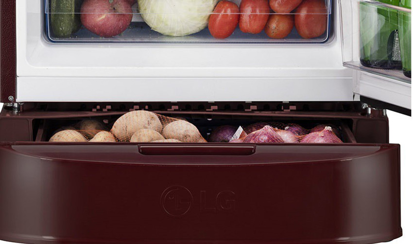LG 201 L Direct Cool Single Door 5 Star Refrigerator with Base